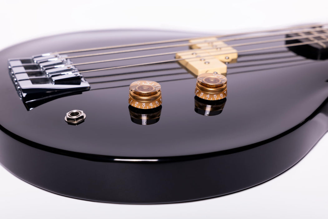 Washburn SB4 Wing Series Scavenger Bass w/Gigbag