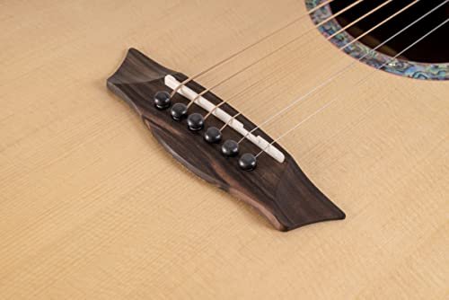 Washburn Elegante S24S Bella Tono Studio Acoustic Guitar, Gloss Natural (BTS24S-D-U)