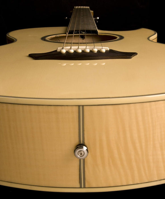 Washburn Festival EA20 Acoustic Electric Guitar (EA20-A)