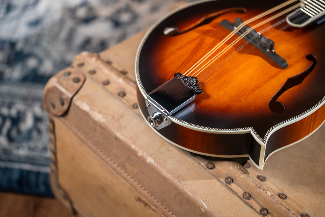 Washburn M3SEBRK F style Mandolin Brown Burst with Gig Bag