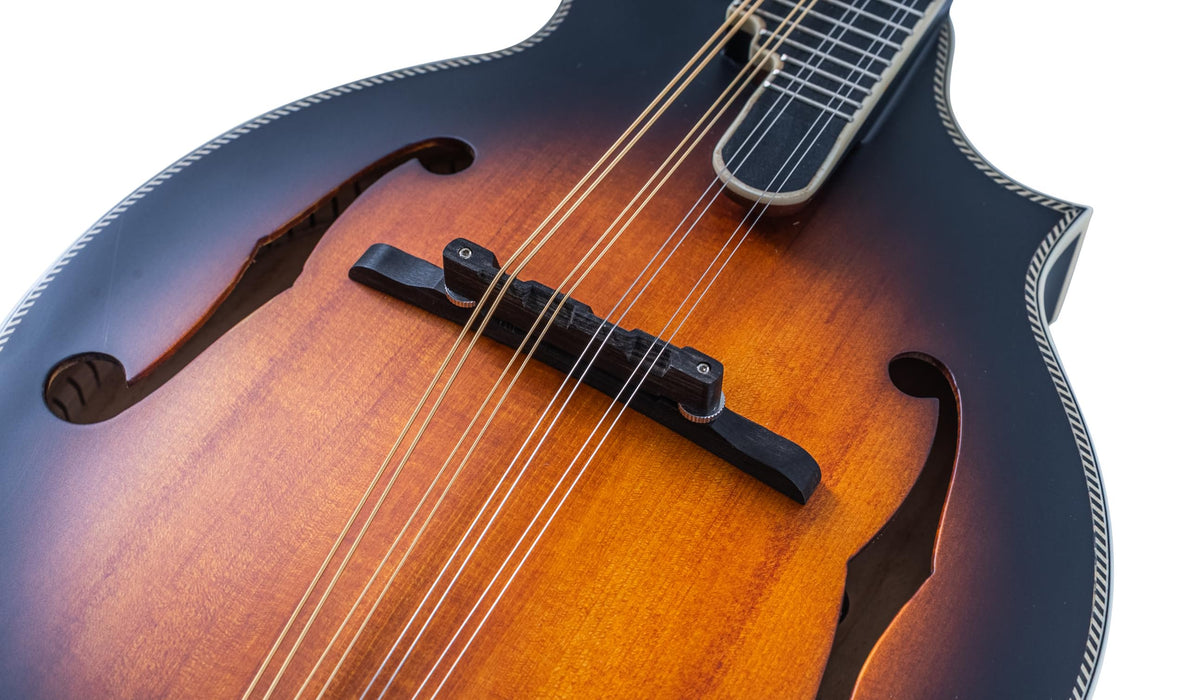 Washburn M3SEBRK F style Mandolin Brown Burst with Gig Bag