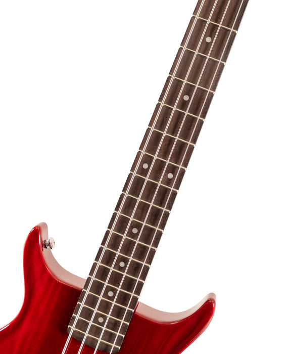 Washburn SB4 Wing Series Scavenger Bass w/Gigbag