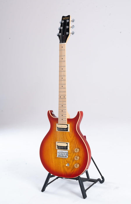 Washburn R5 Wing Series Raven Electric Guitar w/Gigbag