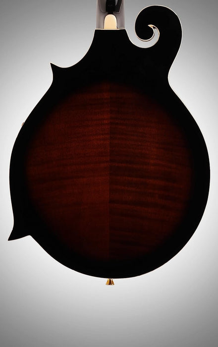 Ibanez M522S F-Style Mandolin Dark Violin Sunburst