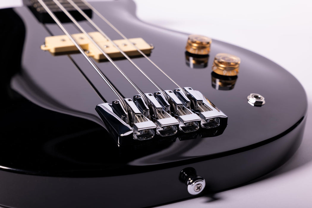 Washburn SB4 Wing Series Scavenger Bass w/Gigbag