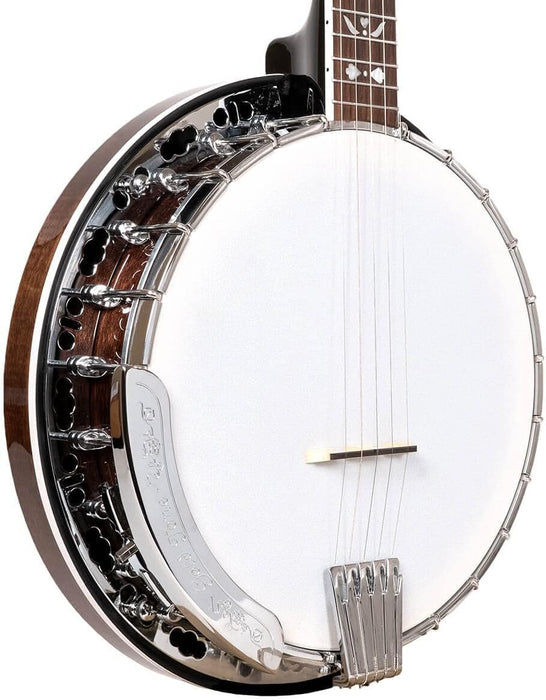 Gold Tone Bluegrass Banjo with Flange and Bag (BG-150F)