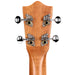 LM-IMAGE-114262694-