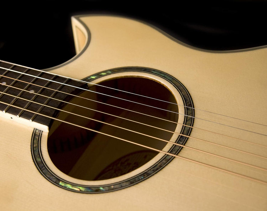 Washburn Festival EA20 Acoustic Electric Guitar (EA20-A)